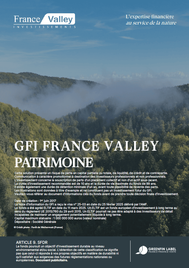 GFI France Valley Patrimoine